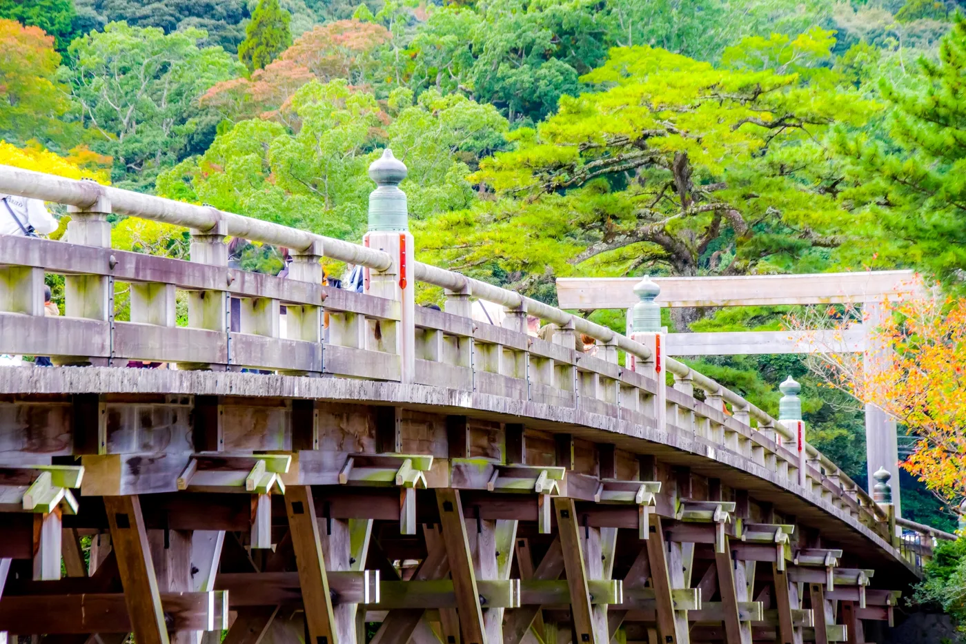Uji Bridge leading into the wooded grounds of Ise Jingu