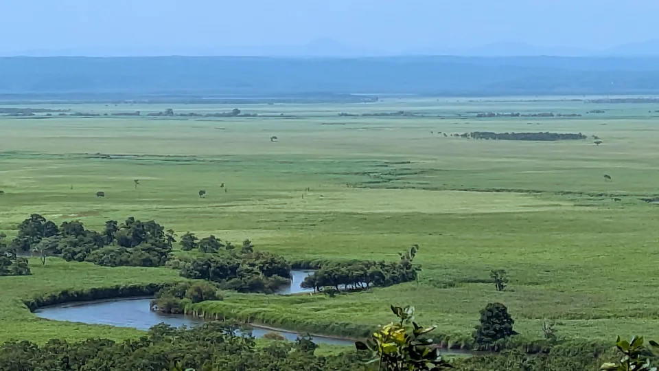 A river winding through the broad green expanse of Kushiro Marsh