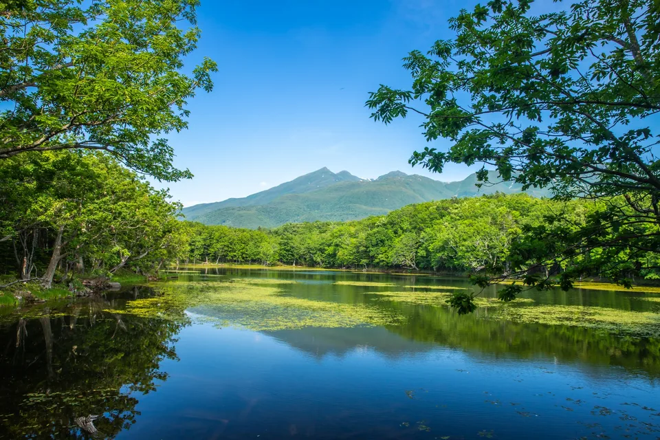 A forest lake reflecting trees and mountains in the Shiretoko Goko area