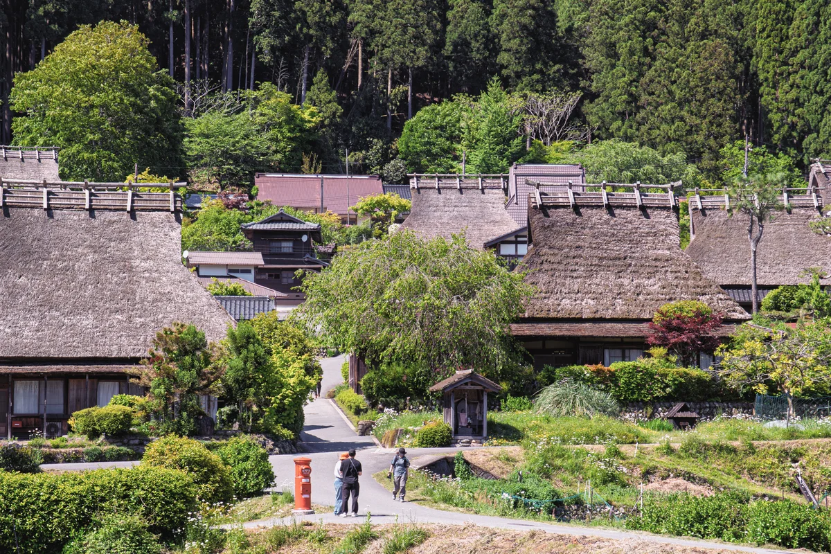 Visitors walking along a lane between Miyama's thatched-roof houses and gardens beneath a wooded hillside