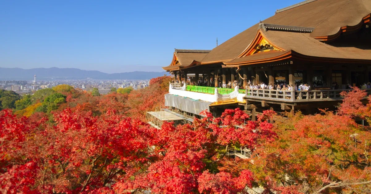 10 Best Autumn Leaves Day Trips from Osaka in 2026: Kyoto, Nara, Koyasan & More