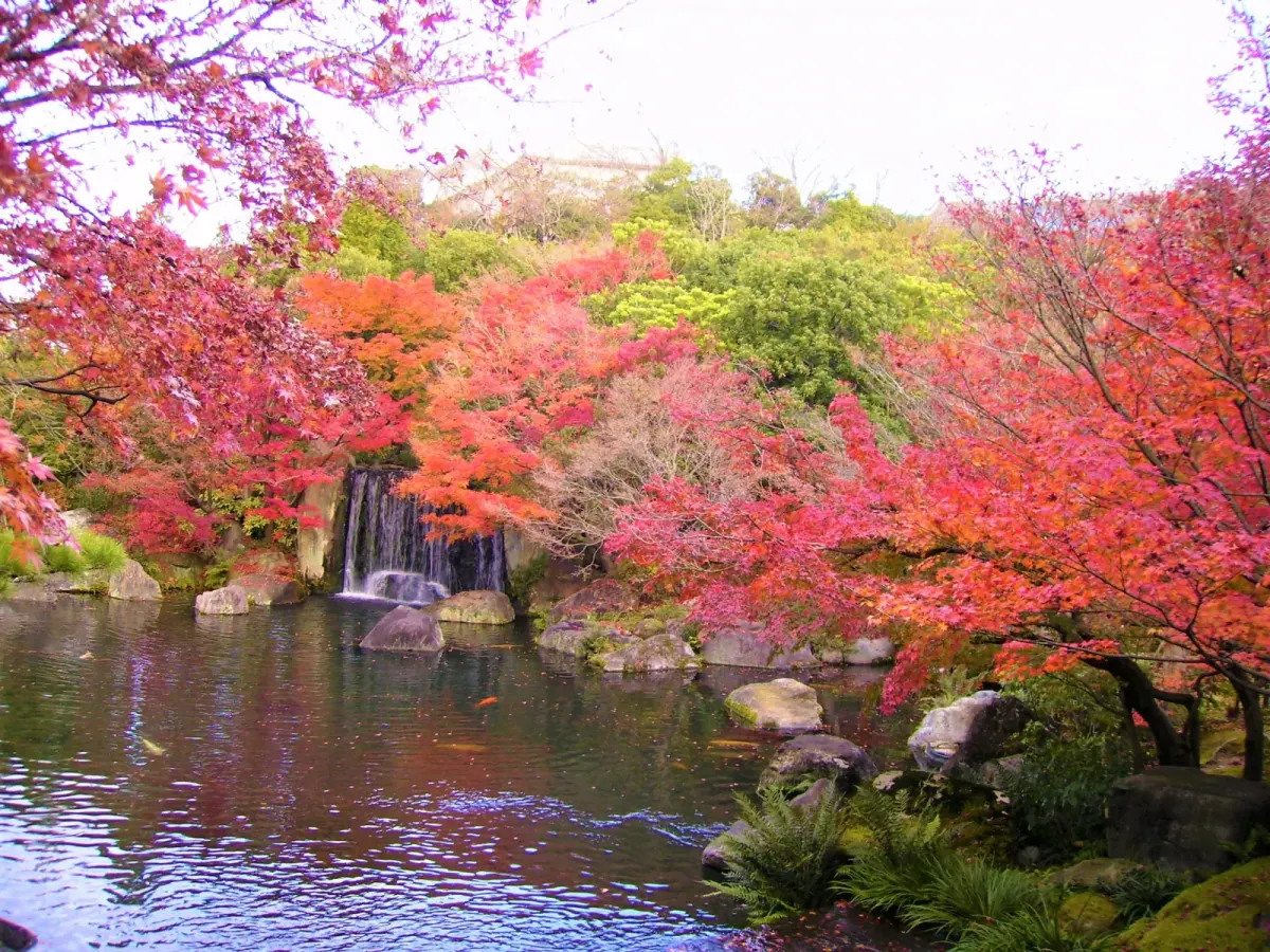 Pond, waterfall and autumn maples in Koko-en Garden