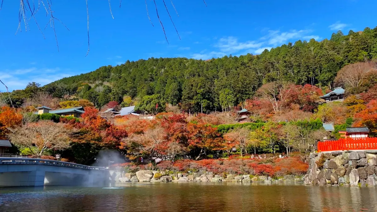 Mist, pond and hillside temple buildings at Katsuoji in autumn