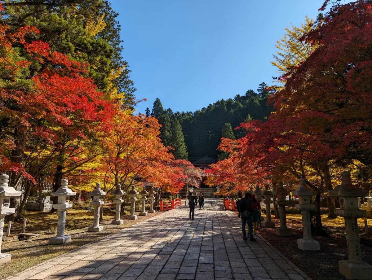 Stone lantern approach surrounded by autumn color at Koyasan