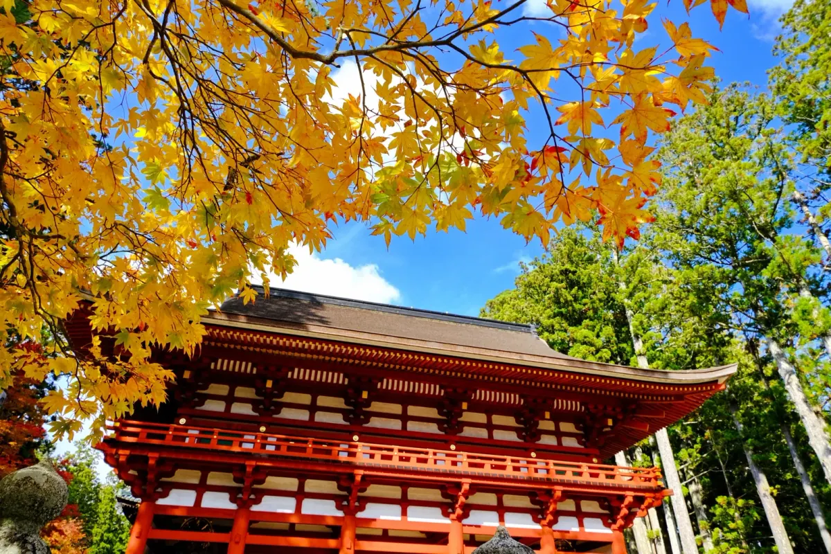 Temple gate and golden autumn leaves at Koyasan