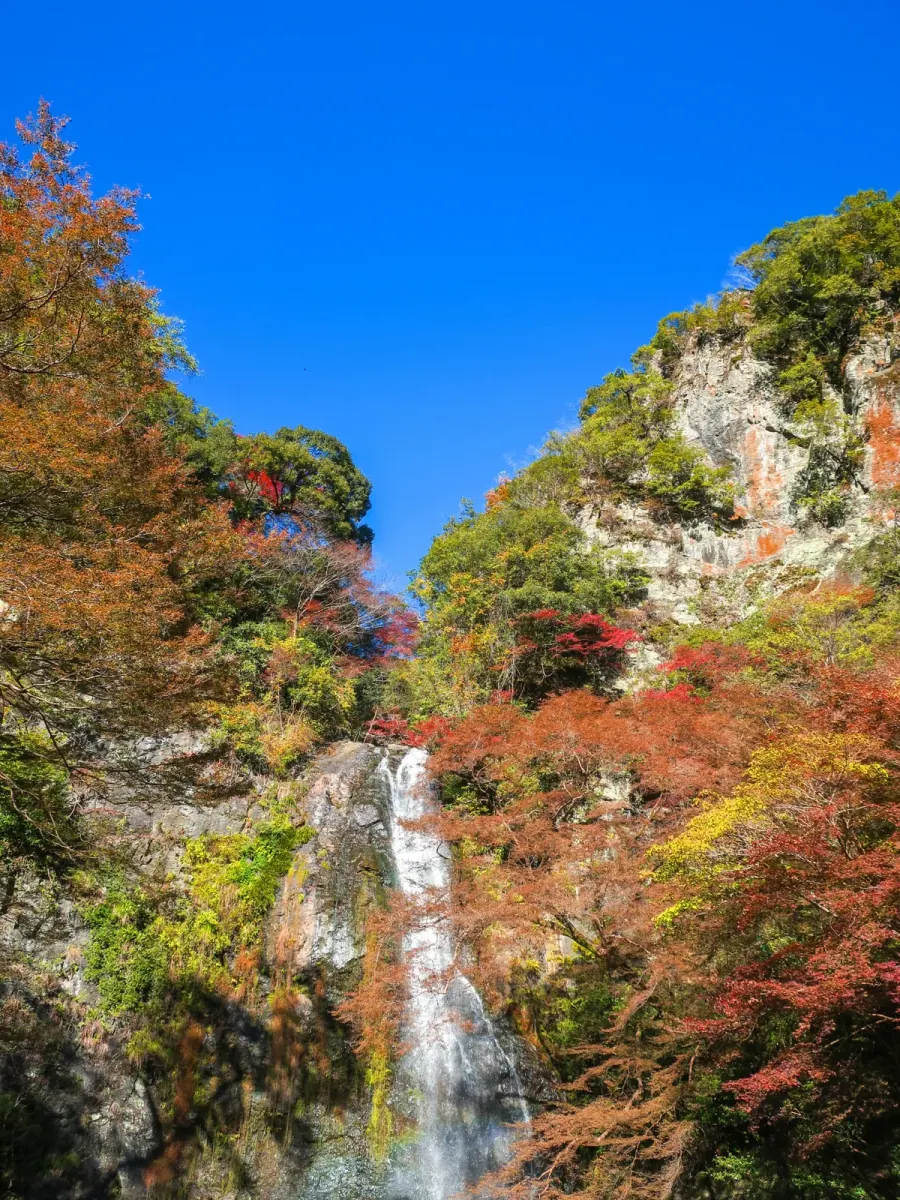 Minoh Waterfall surrounded by autumn forest
