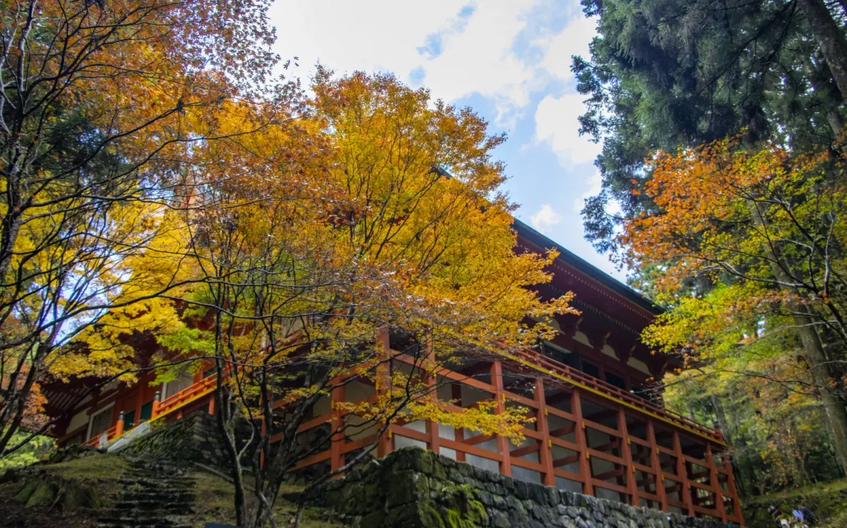 Enryakuji temple hall framed by autumn foliage on Mt. Hiei