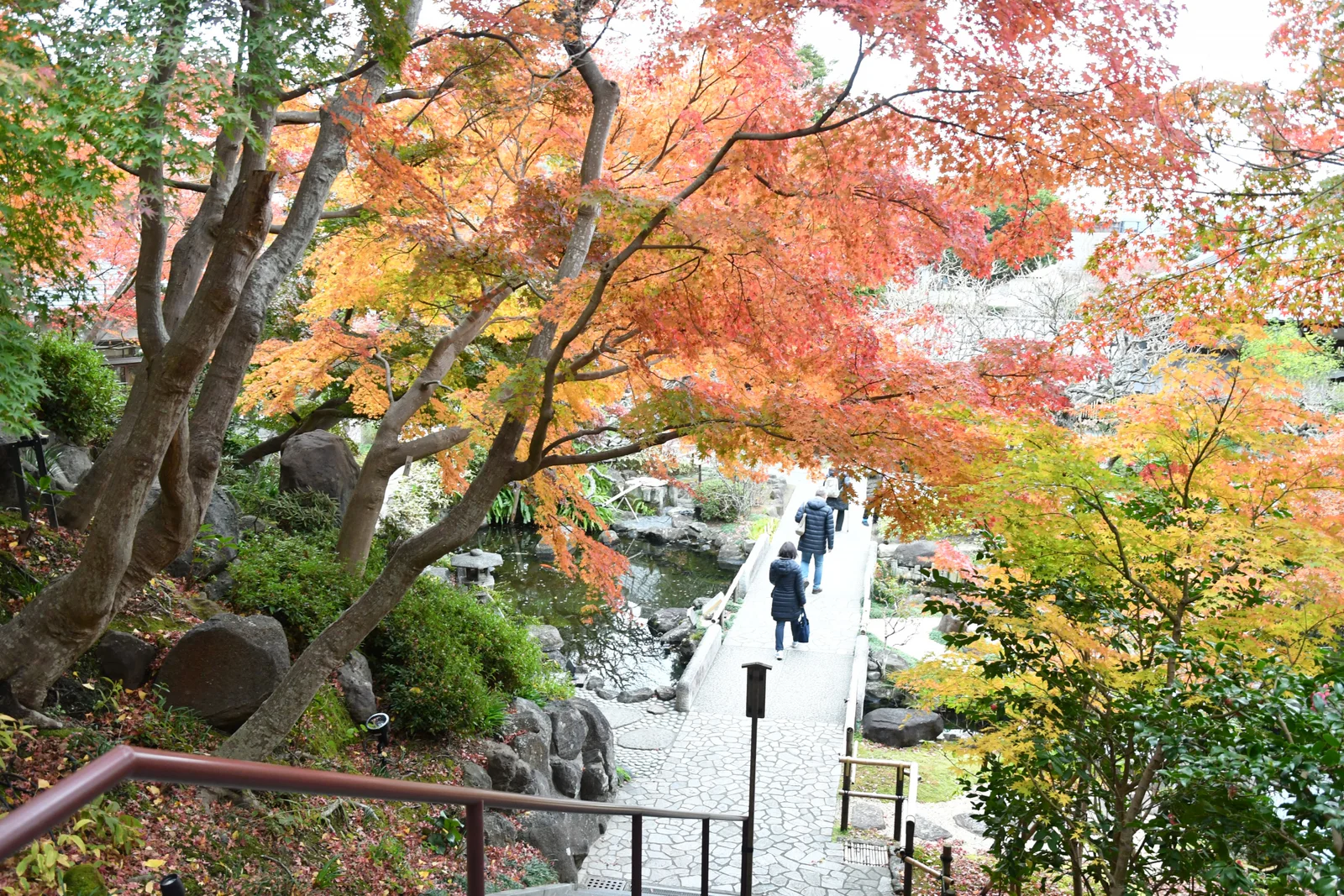 Visitors descending stone steps beneath autumn maples at Hasedera in Kamakura