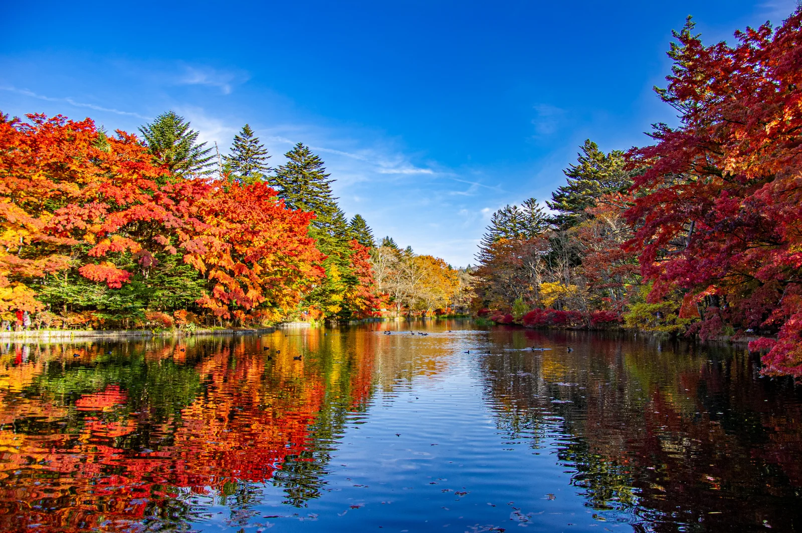 Autumn trees reflected in Kumoba Pond in Karuizawa