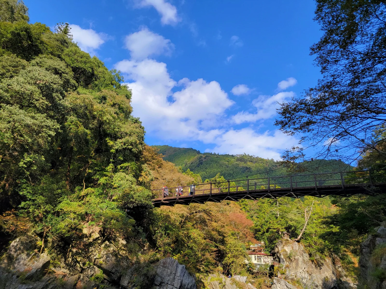 Suspension bridge crossing Hatonosu Gorge in autumn