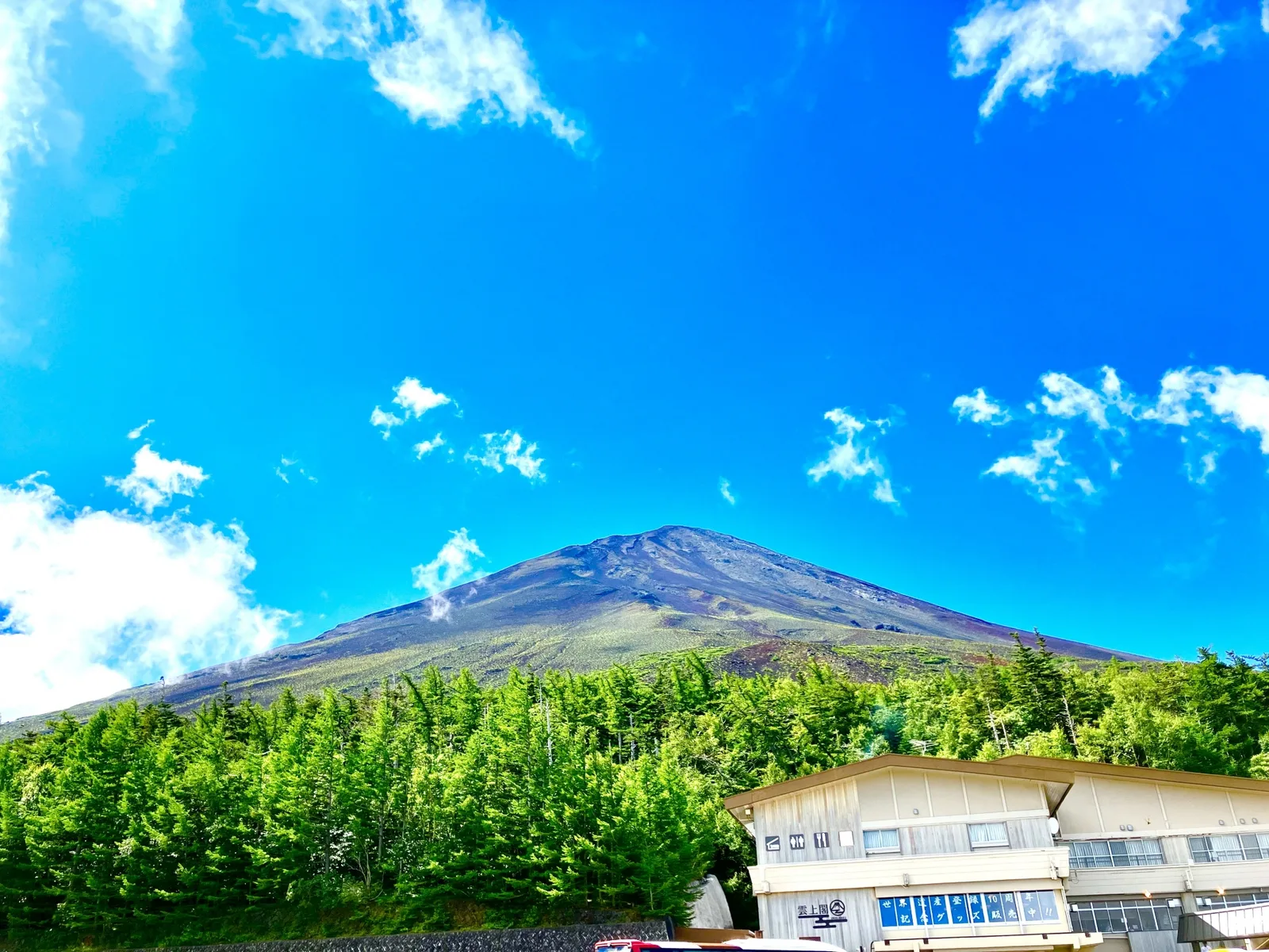 The upper slopes of Mount Fuji viewed from the forested Fifth Station area in summer