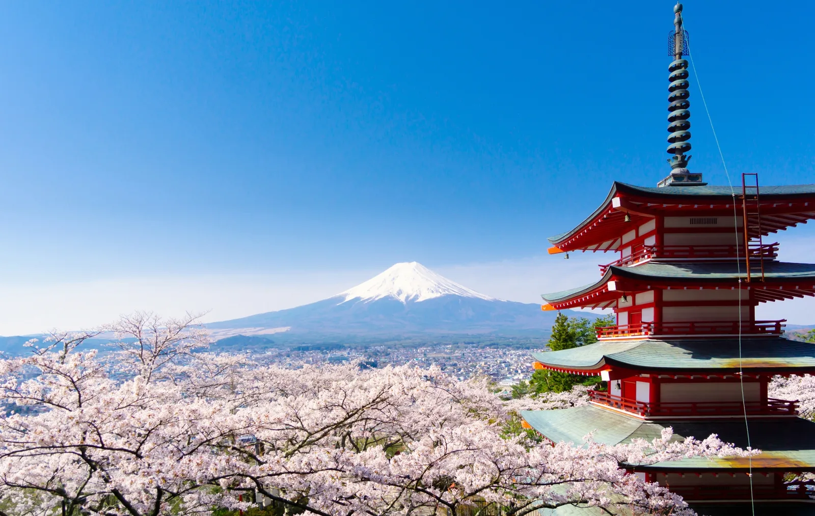 Mount Fuji and Chureito Pagoda framed by cherry blossoms at Arakurayama Sengen Park