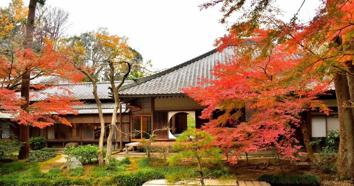 Autumn leaves surrounding a Japanese temple garden