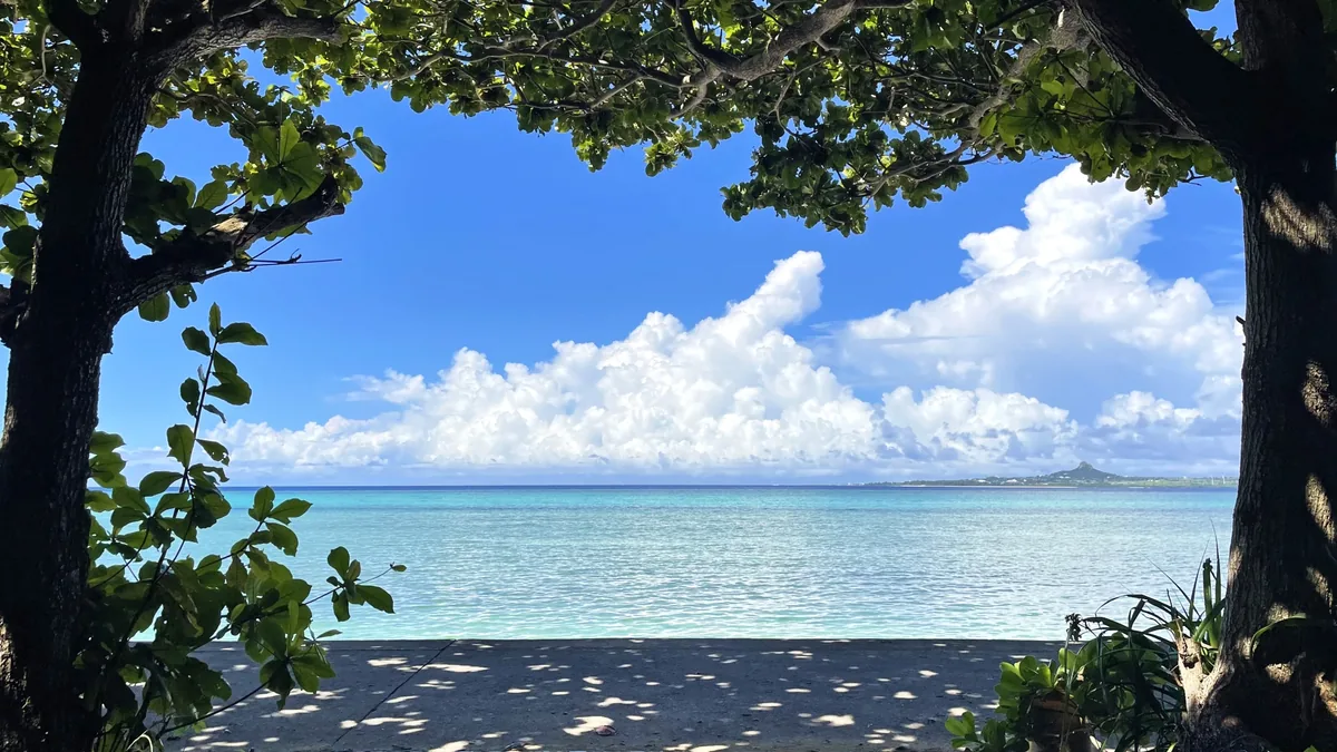 Turquoise sea seen between trees along the Bise coast