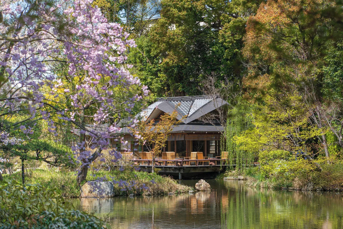 Tea-house architecture reflected in Shakusui-en pond beside spring blossom at Four Seasons Hotel Kyoto