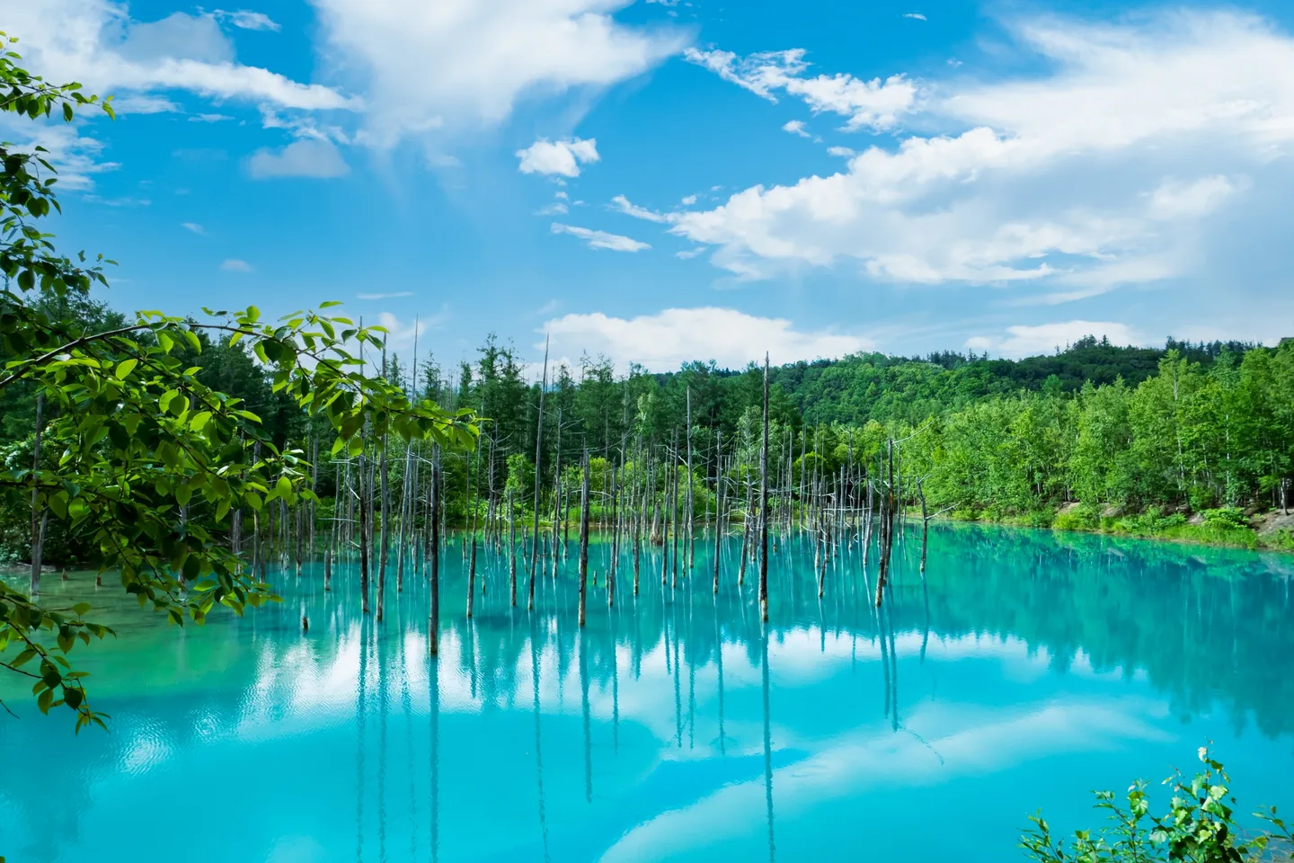 Blue-green water and trees at Shirogane Blue Pond
