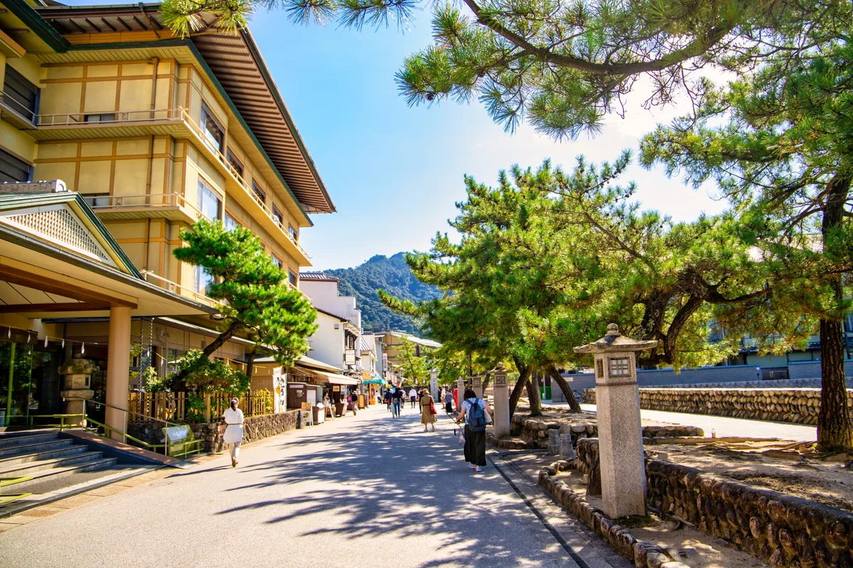 Miyajima's waterfront lane lined with buildings, pine trees and stone lanterns