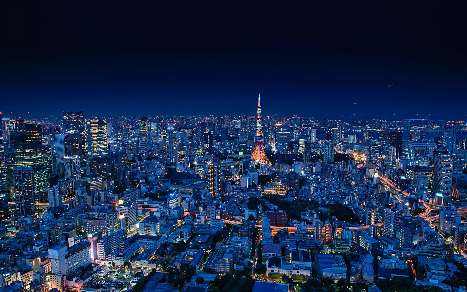 Aerial night view of Tokyo cityscape