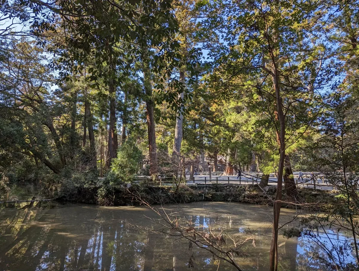 Trees reflected in still water beside a wooded path in Ise Jingu's grounds