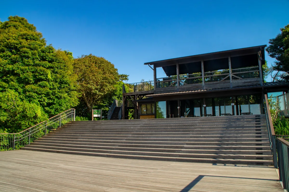 Broad wooden steps leading to a terrace building among trees at Yokoyama