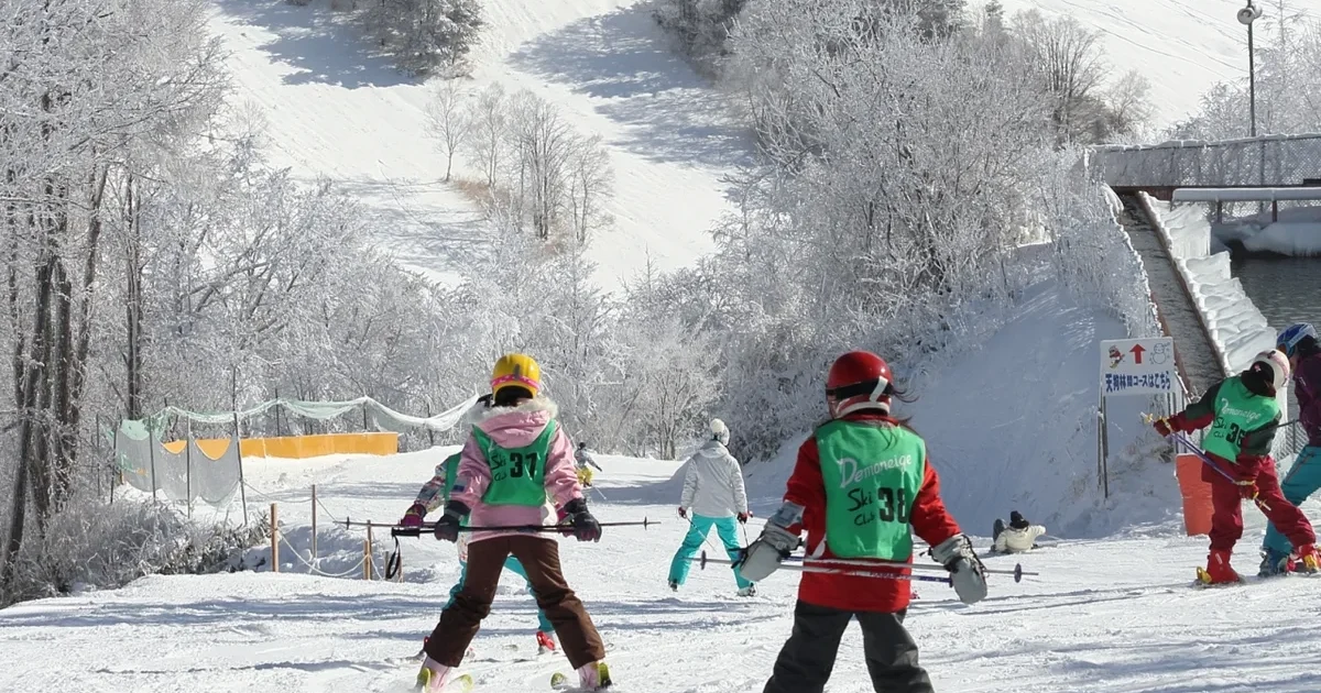 Learners practicing on a snowy slope at Sugadaira Kogen