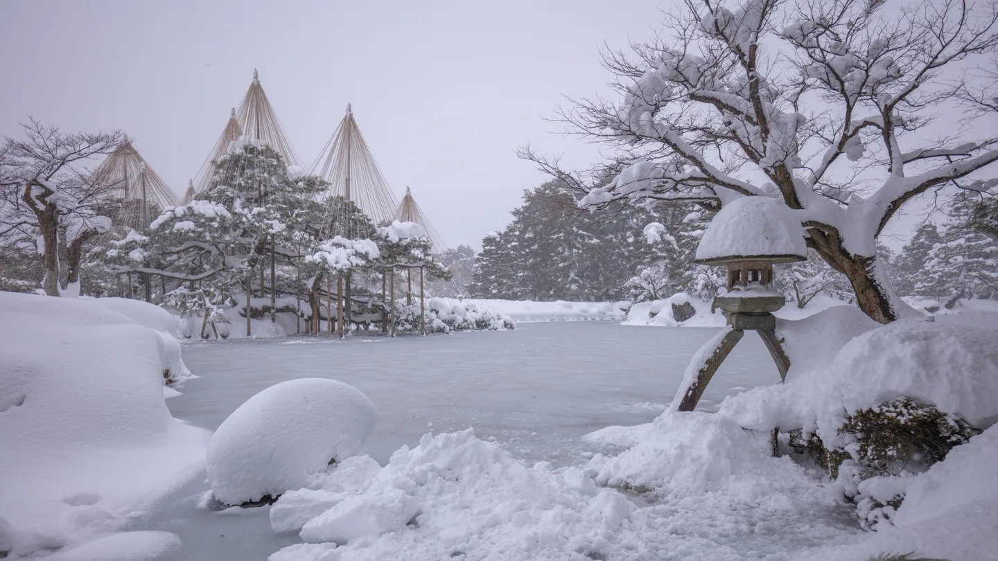 Kenrokuen's stone lantern beside a snowy pond, with yukitsuri ropes supporting the trees