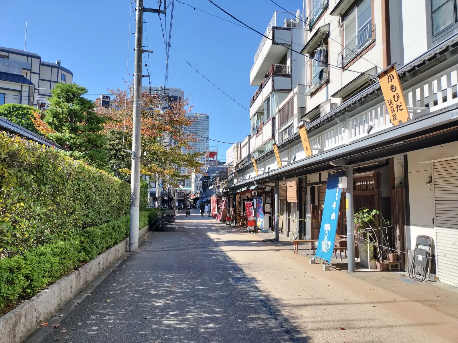 A quiet Asakusa side street with traditional shopfronts and trees