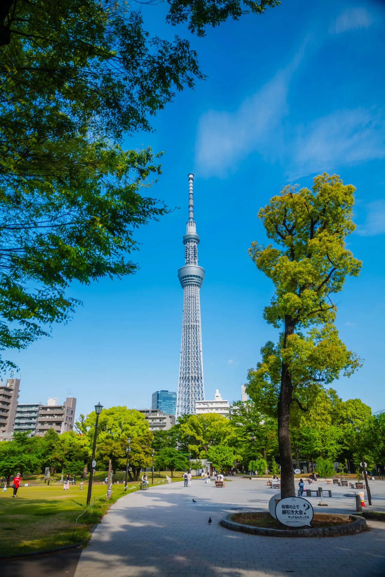 Tokyo Skytree framed by green trees in Sumida Park