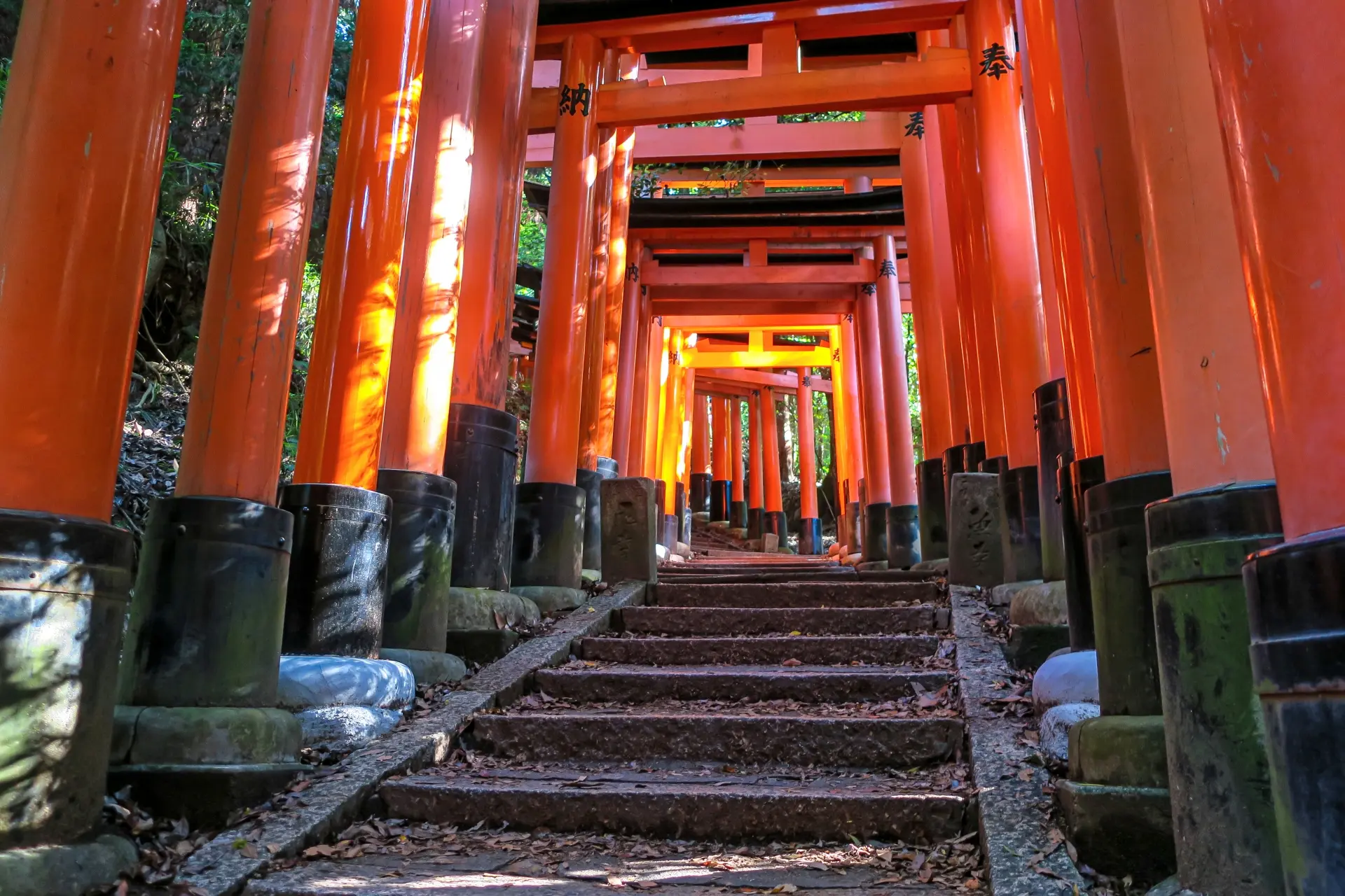 4-Day Kansai Itinerary: Kyoto, Osaka & Nara (2026 Local's Guide)