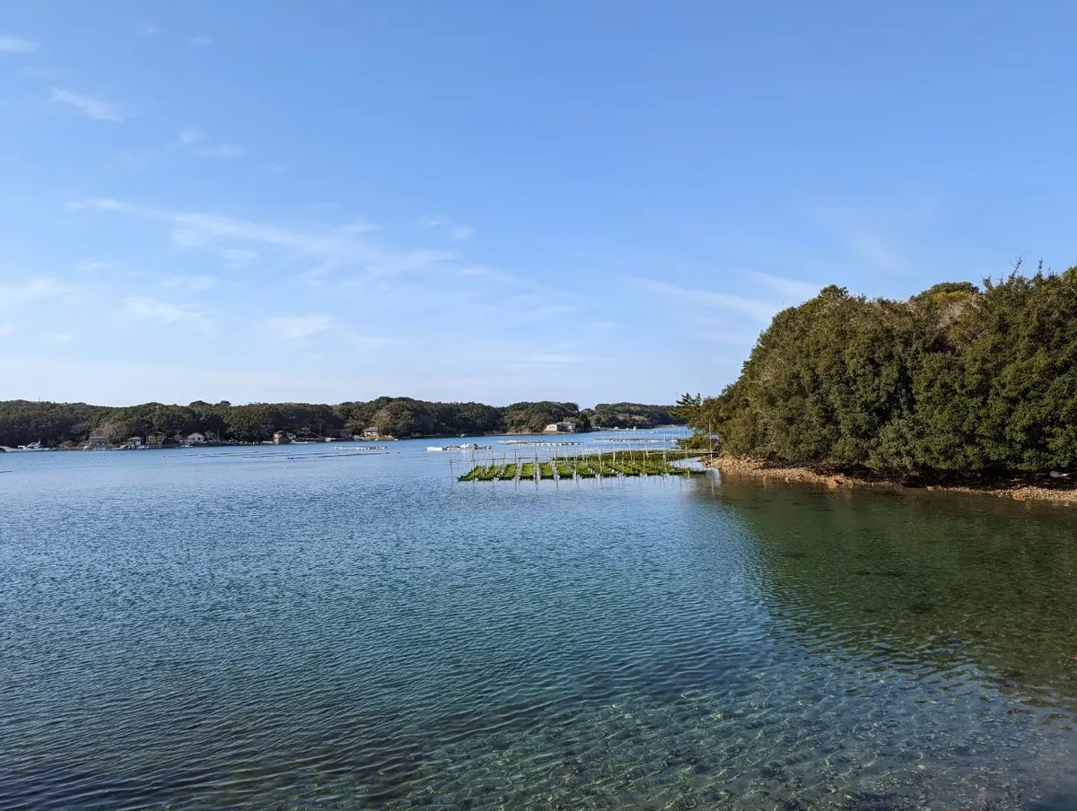白天的英虞灣,可見藍色海水、水上浮台與長滿樹木的海岸