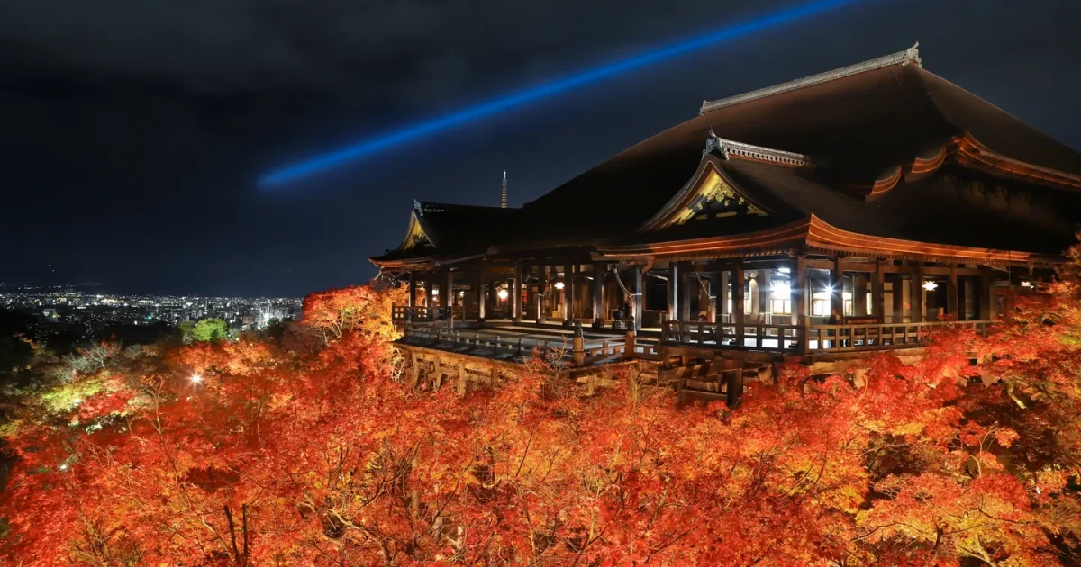 Kiyomizu-dera's illuminated wooden stage and autumn trees at night