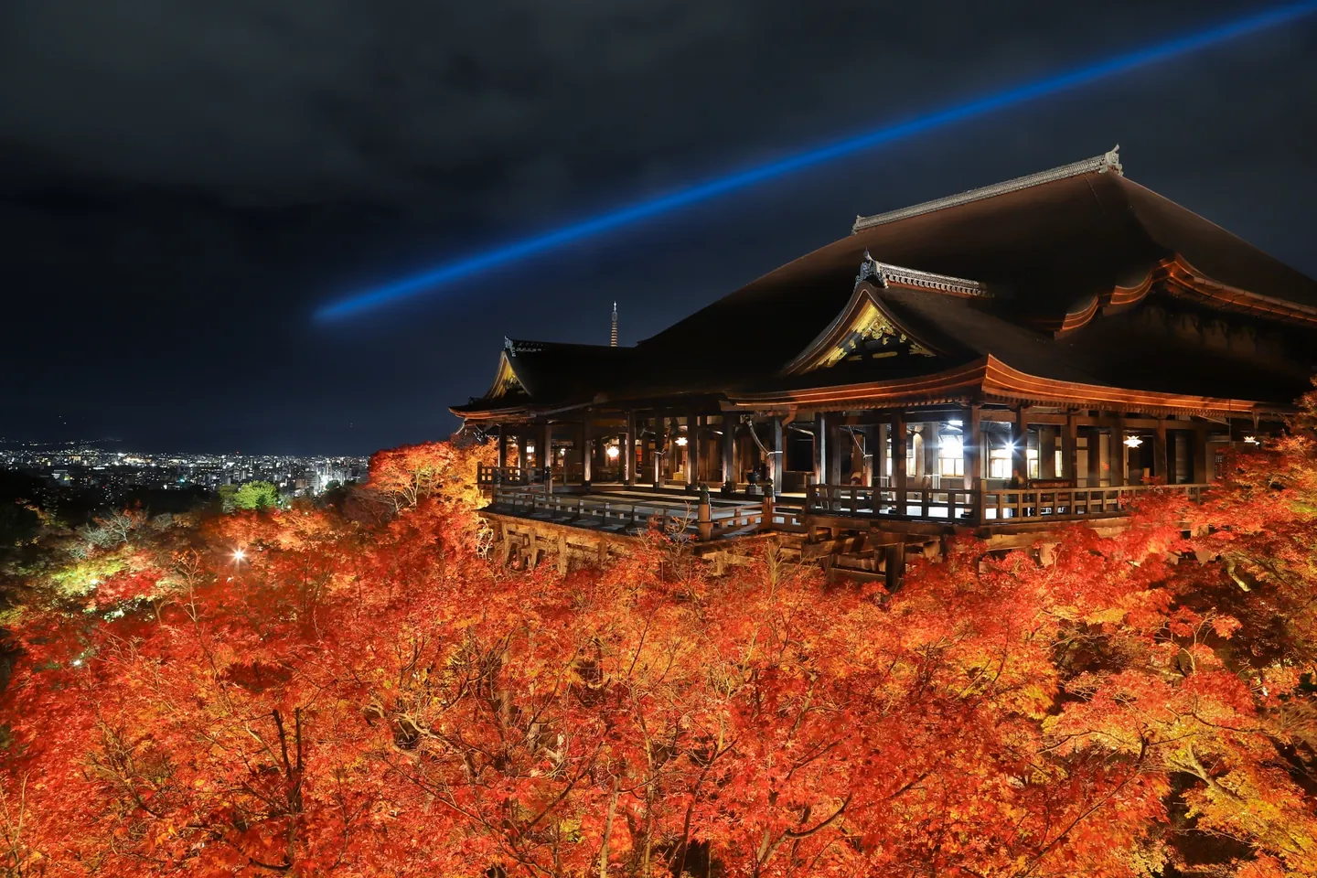 Illuminated red and orange maple leaves surround Kiyomizu-dera’s wooden stage beneath a dark sky crossed by a blue beam of light.