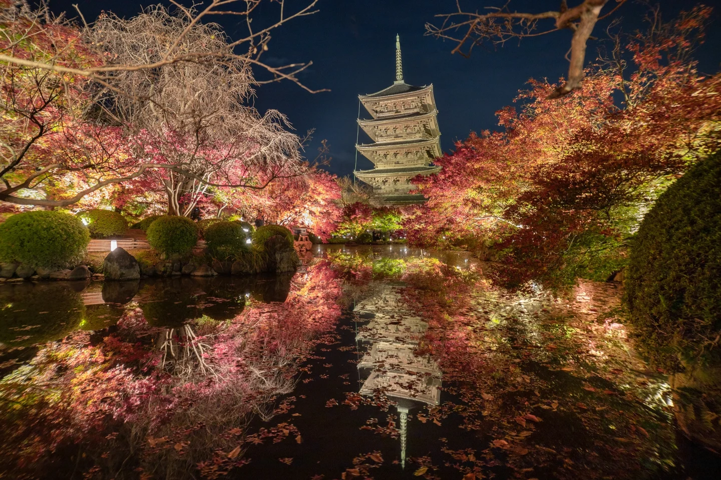 Toji's five-story pagoda and illuminated autumn trees reflected in a pond at night.