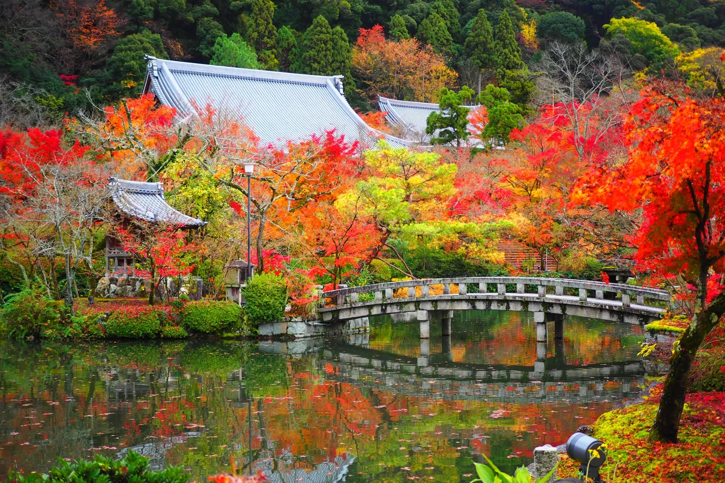 A curved stone bridge crosses a pond reflecting red, yellow and green autumn trees, with tiled temple rooftops behind at Eikando.