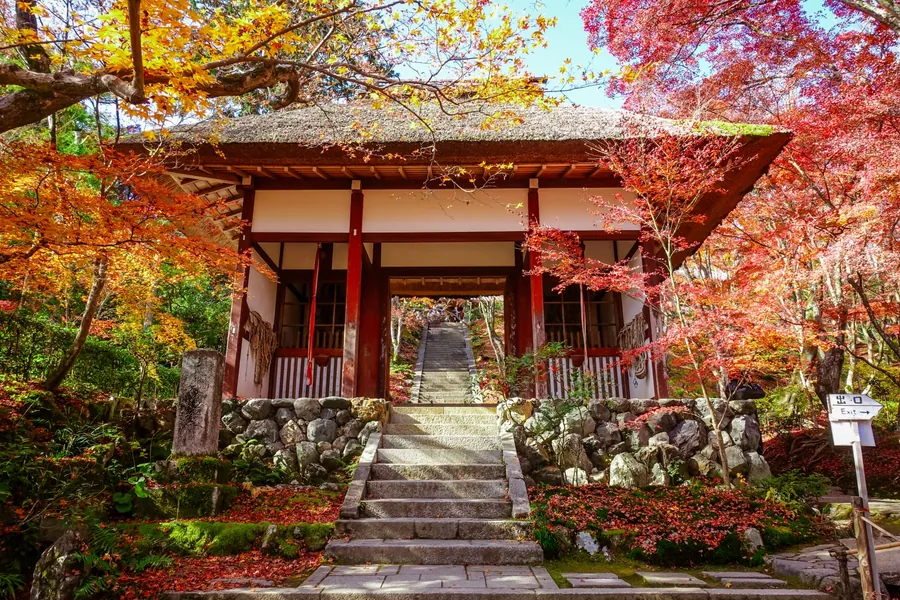 Red and yellow maple leaves surround the thatched Niomon gate at Jojakko-ji, with stone steps leading through its central opening.
