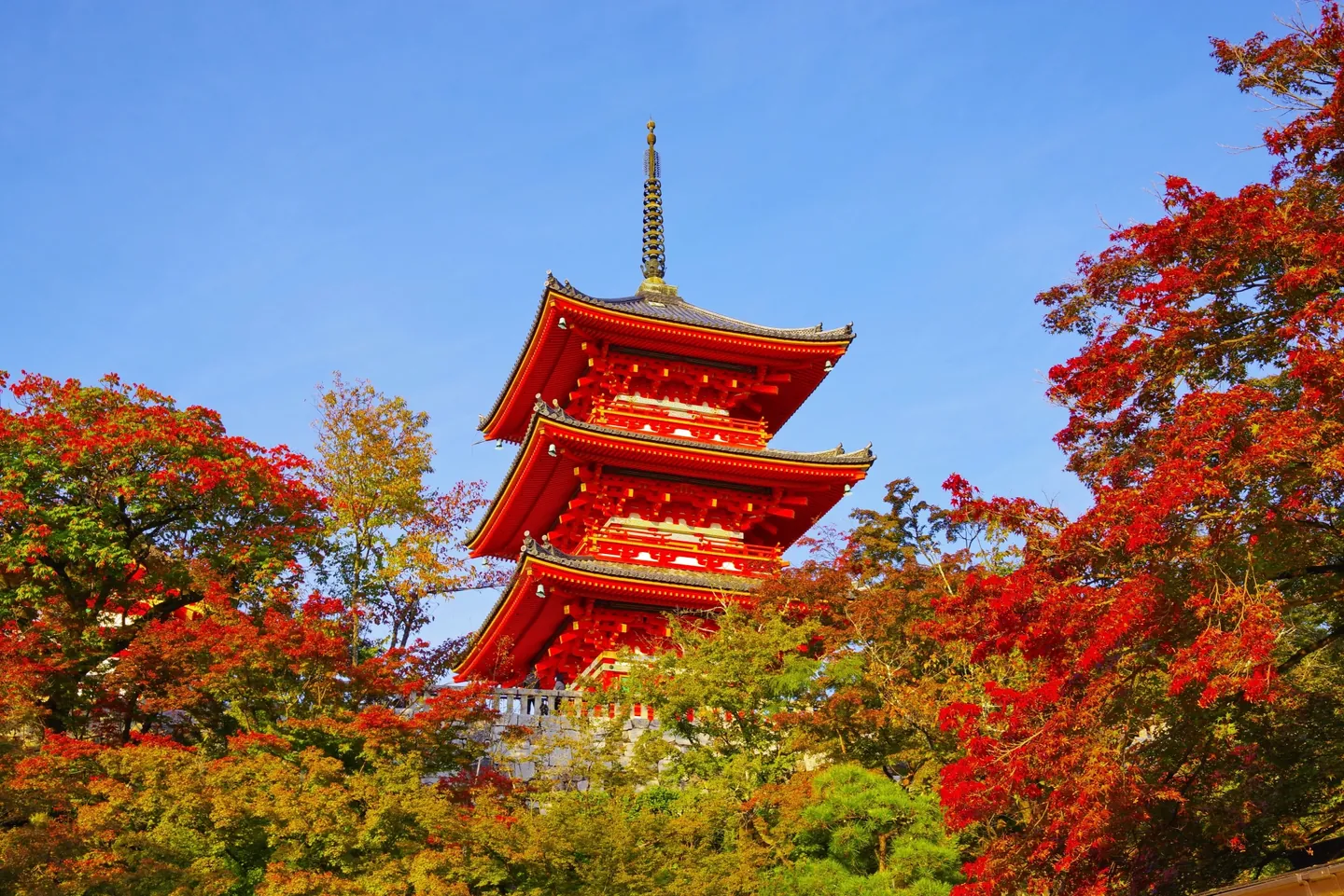 A vermilion three-story pagoda rises above red and green maple leaves beneath a blue sky at Kiyomizu-dera.