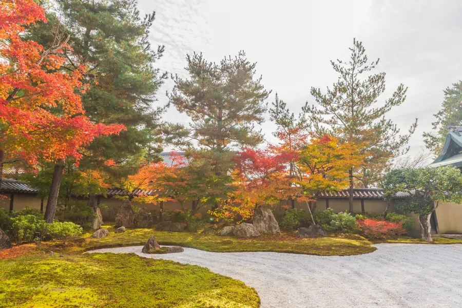White gravel, rocks, moss and a pine tree surrounded by autumn foliage in a garden at Kodai-ji.