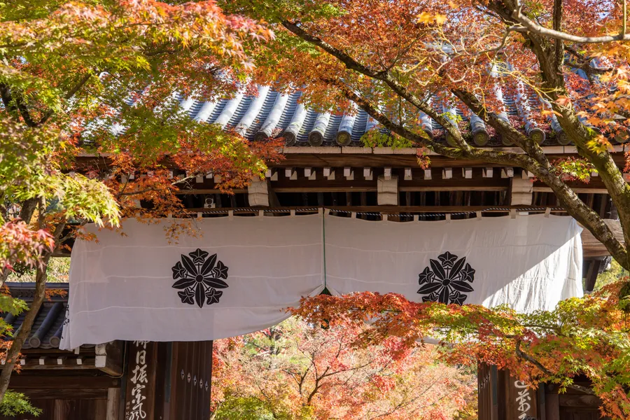 Orange and green maple leaves surround a tiled gateway with white curtains and dark crests at Nanzen-ji.