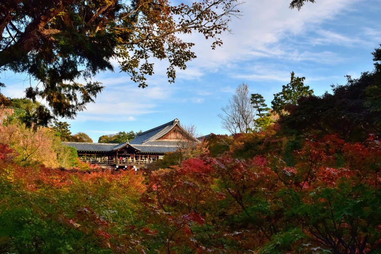 The roofed wooden Tsutenkyo bridge at Tofuku-ji stretches across a valley of red, yellow and green autumn trees beneath a blue sky.