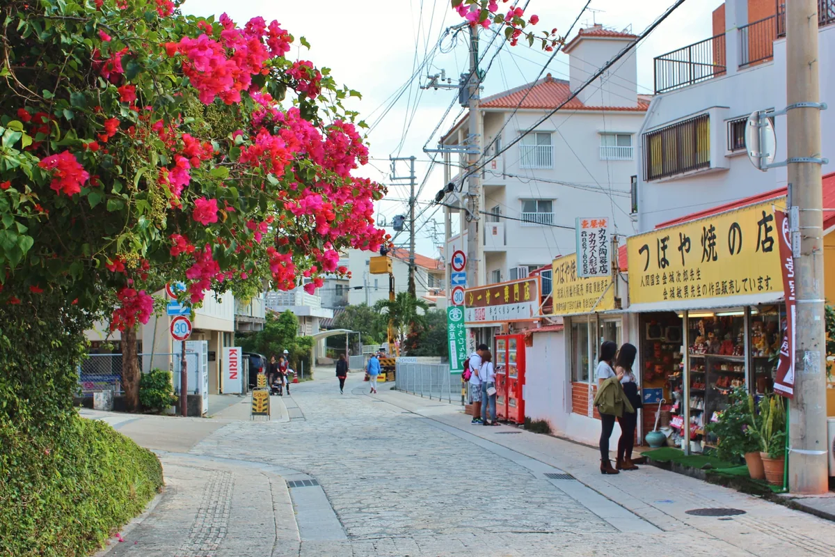 Bougainvillea beside pottery shops on Tsuboya Yachimun Street