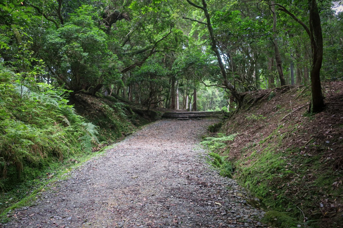 The Naka-no-Negimichi path winding through green woodland near Kasuga Taisha