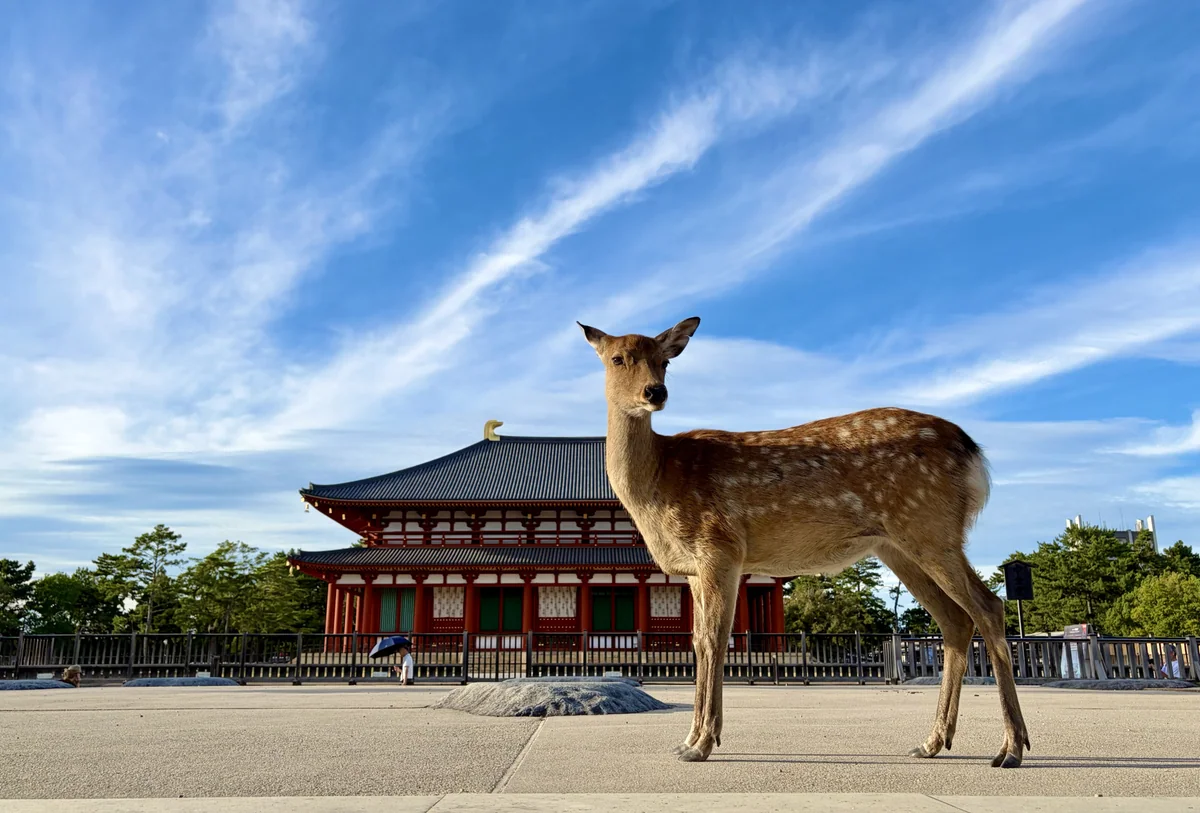 A deer standing in front of the red-and-white Central Golden Hall at Kofukuji