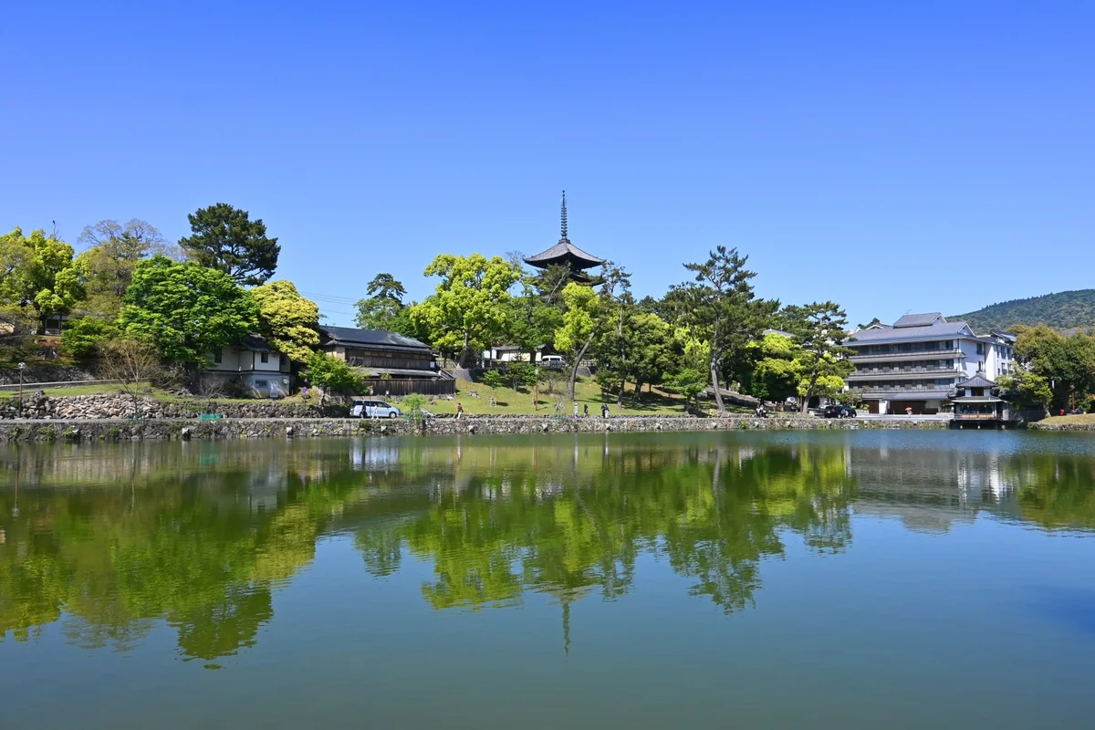 Sarusawa Pond reflecting trees and the temple-side skyline in Nara