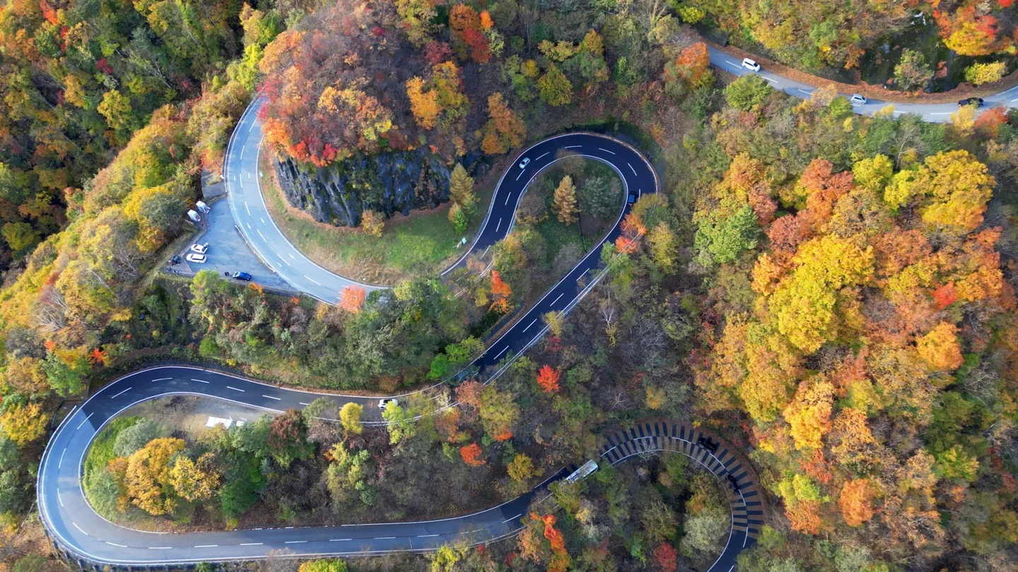 An aerial view of Irohazaka hairpin bends winding through yellow and red autumn woodland.