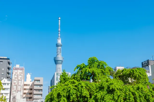 Where to Stay in Tokyo
