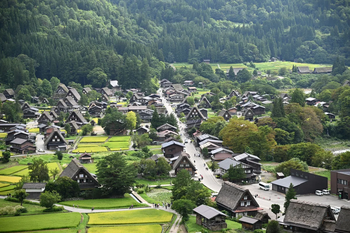 Traditional thatched houses and green fields in Shirakawa-go seen from a hillside