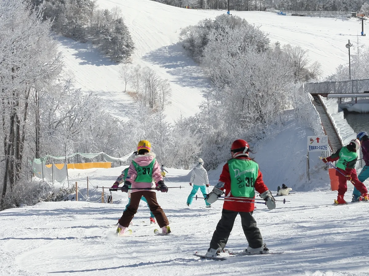 Beginner skiers practising controlled turns on a marked slope at Sugadaira Kogen