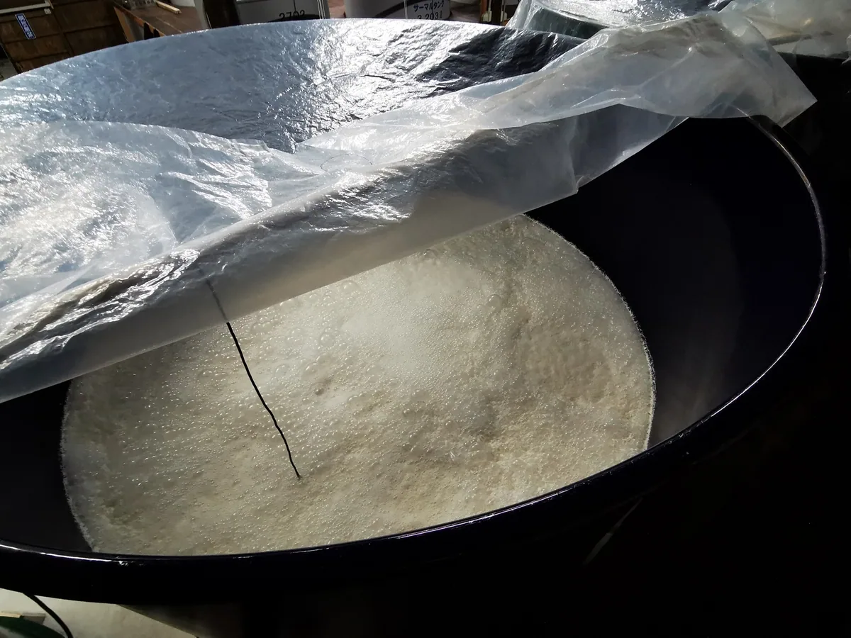 A pale, foamy mash inside a dark tank, with a probe and a partly lifted cover