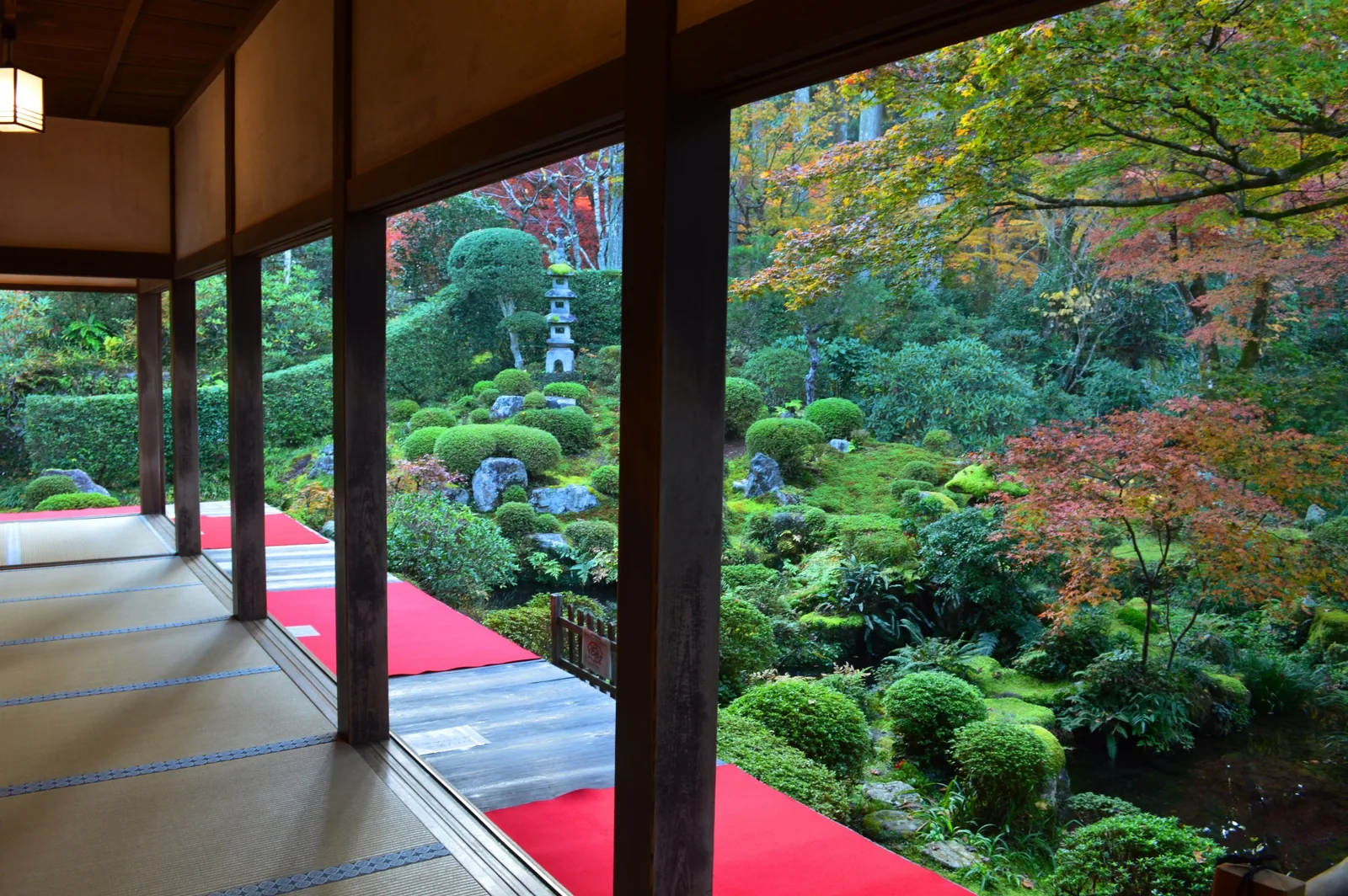 A shaded wooden veranda with red floor coverings overlooking a garden of moss, rounded shrubs and green and red leaves