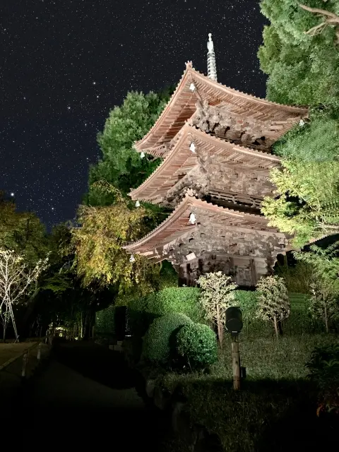 Hotel Chinzanso Tokyo — Mejiro Garden Retreat